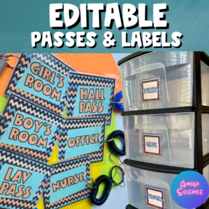 Editable Passes and Labels