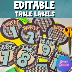 Editable Table Labels
