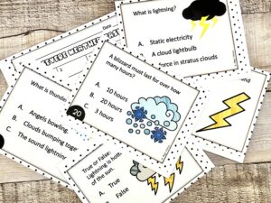 severe weather task cards, severe weather review, tornado, hurricane, blizzard, thunderstorm