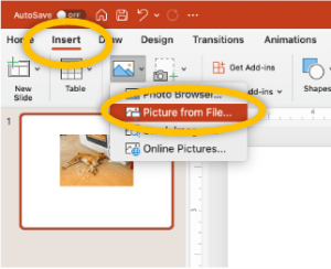 Helpful PowerPoint Tips Inserting a Picture from File