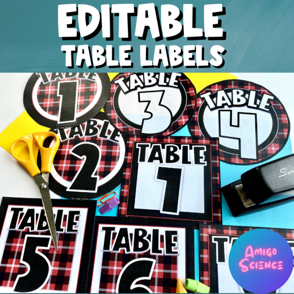 Picture of Plaid Editable Table Labels