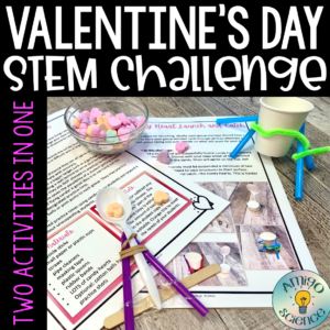 Picture of Valentines Day STEM Activity
