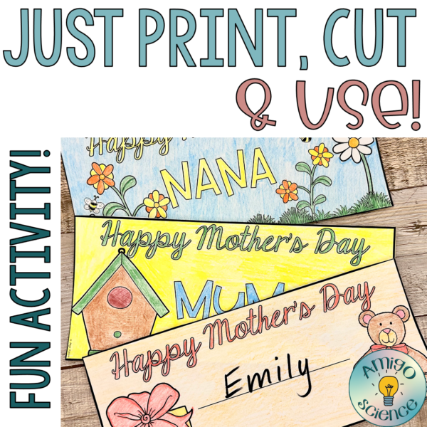 Mother's Day gift ideas activity for students