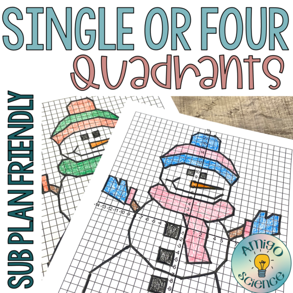 winter mystery graphs, winter mystery picture graph, winter math activities, winter differentiated mystery graphs, winter math graphs,