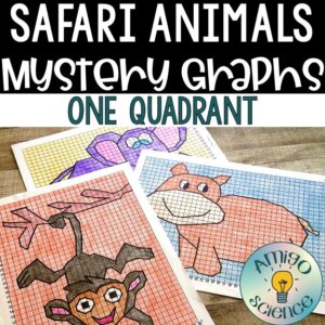 math worksheets, math mystery pictures, coordinate graph mystery pictures, coordinate plane