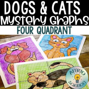 math worksheets, math mystery pictures, coordinate graph mystery pictures, coordinate plane