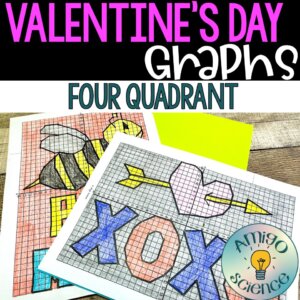 Valentine’s day graphing Valentine’s day mystery picture Valentine’s day coordinate graph Valentine’s Day activities middle school math